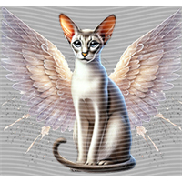 Animal Integration-DW 2143